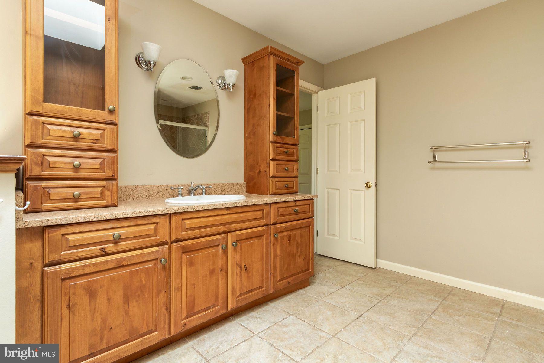 4887 Danielle Drive Doylestown, PA 18902 - Photo 28 of 35 a bathroom with a sink a mirror and a shower