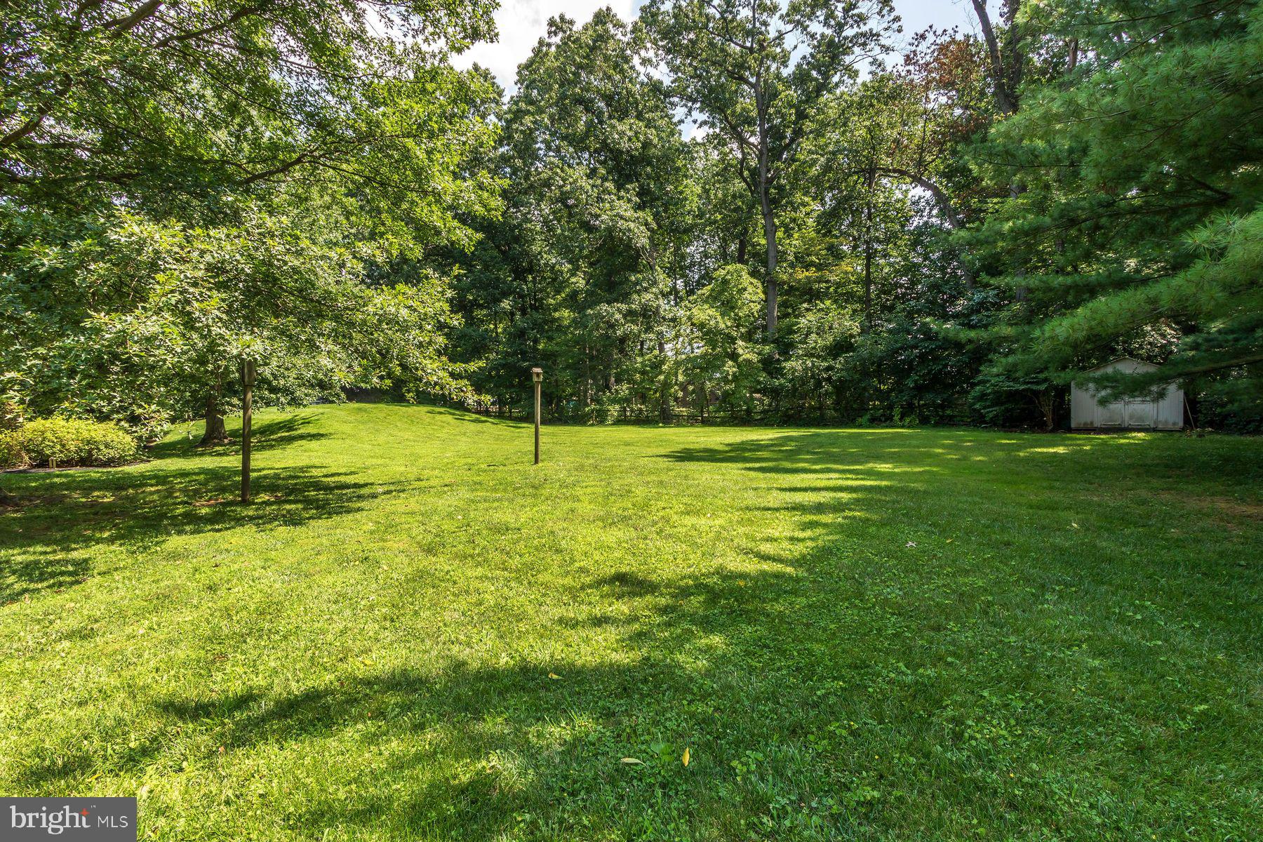 4887 Danielle Drive Doylestown, PA 18902 - Photo 9 of 35 a view of a tree in a field
