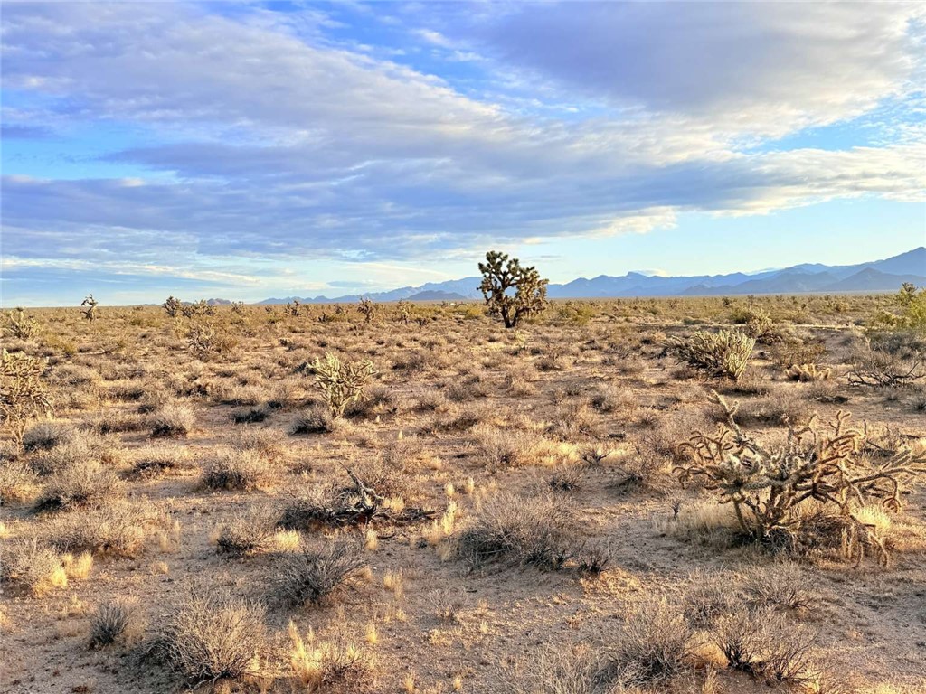20030 South Billy The Kid Road Yucca, AZ 86438 - Photo 15 of 20