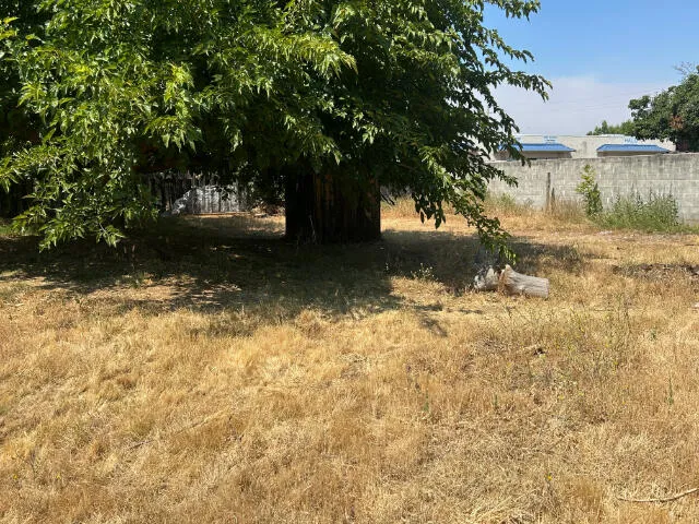 a view of backyard of house with green space