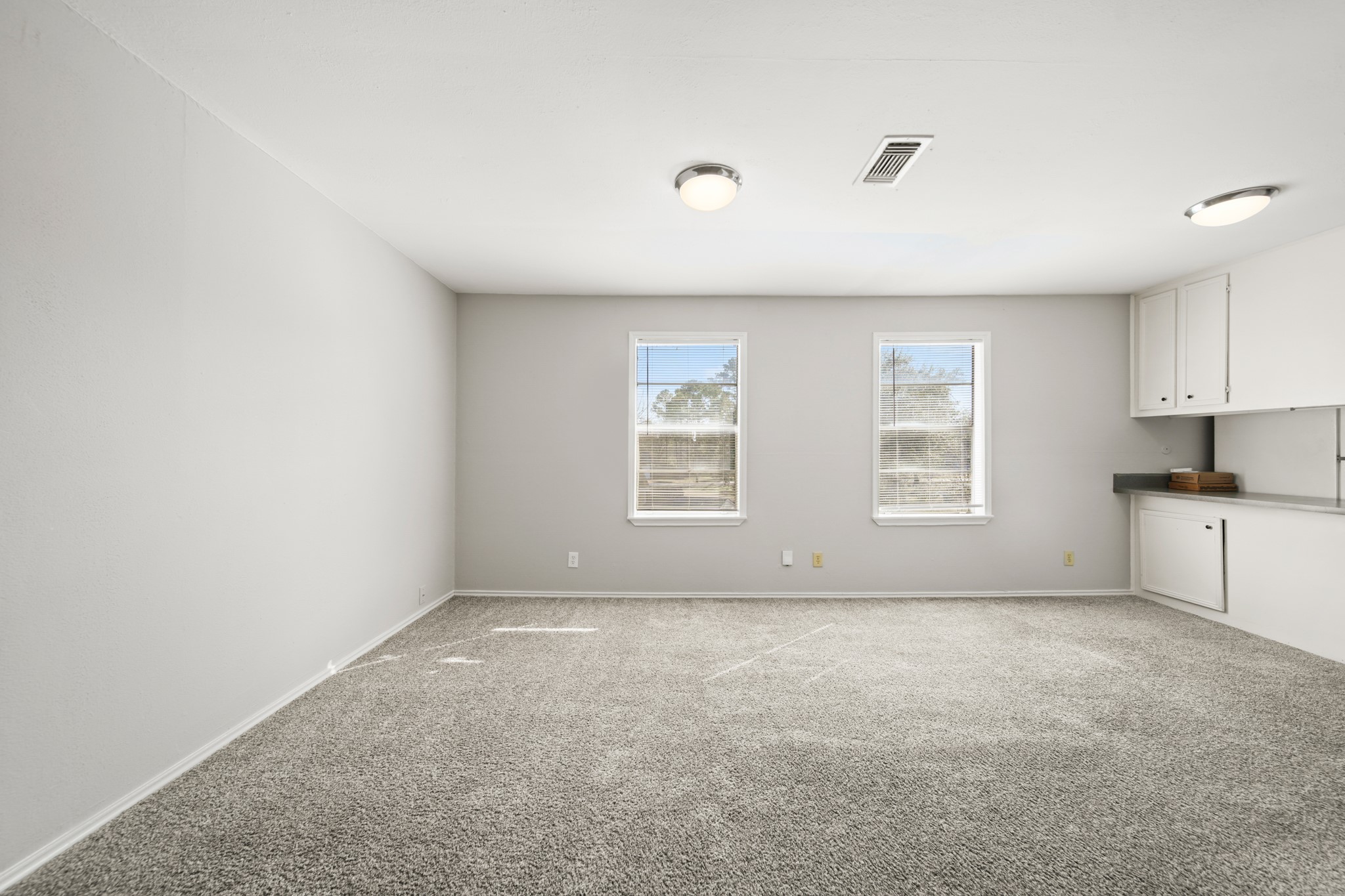 7357 Brace Street Houston, TX 77061 - Photo 4 of 12