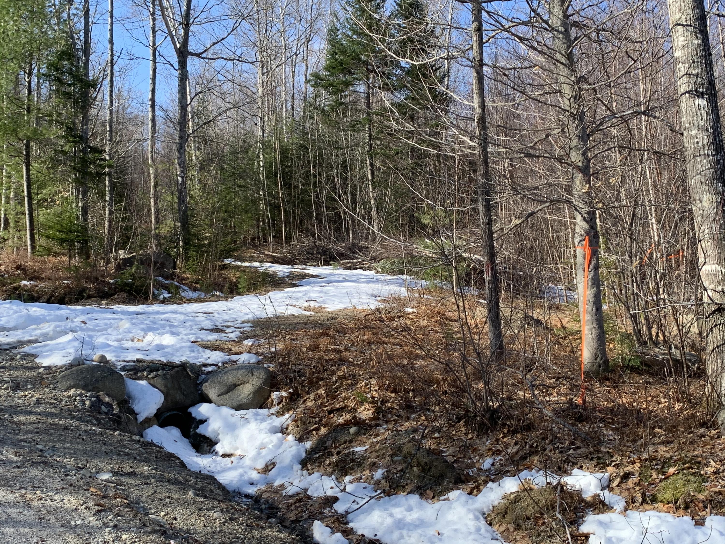 Tbd Tbd Holman Road Rumford, ME 04276 - Photo 20 of 23 Holman rd frontage