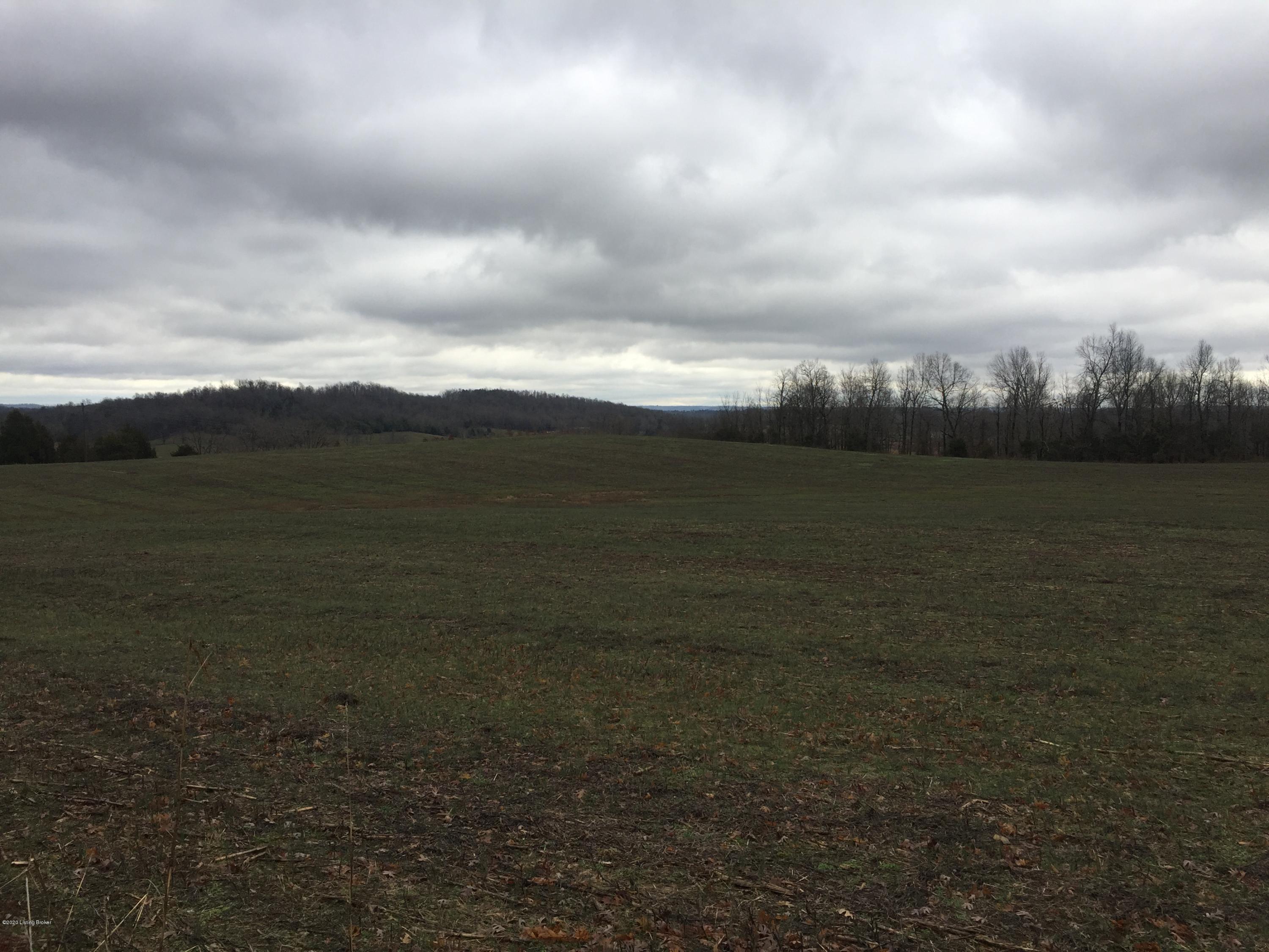 12601 Grayson Springs Road Clarkson, KY 42726 - Photo 22 of 31 Snap RD 21