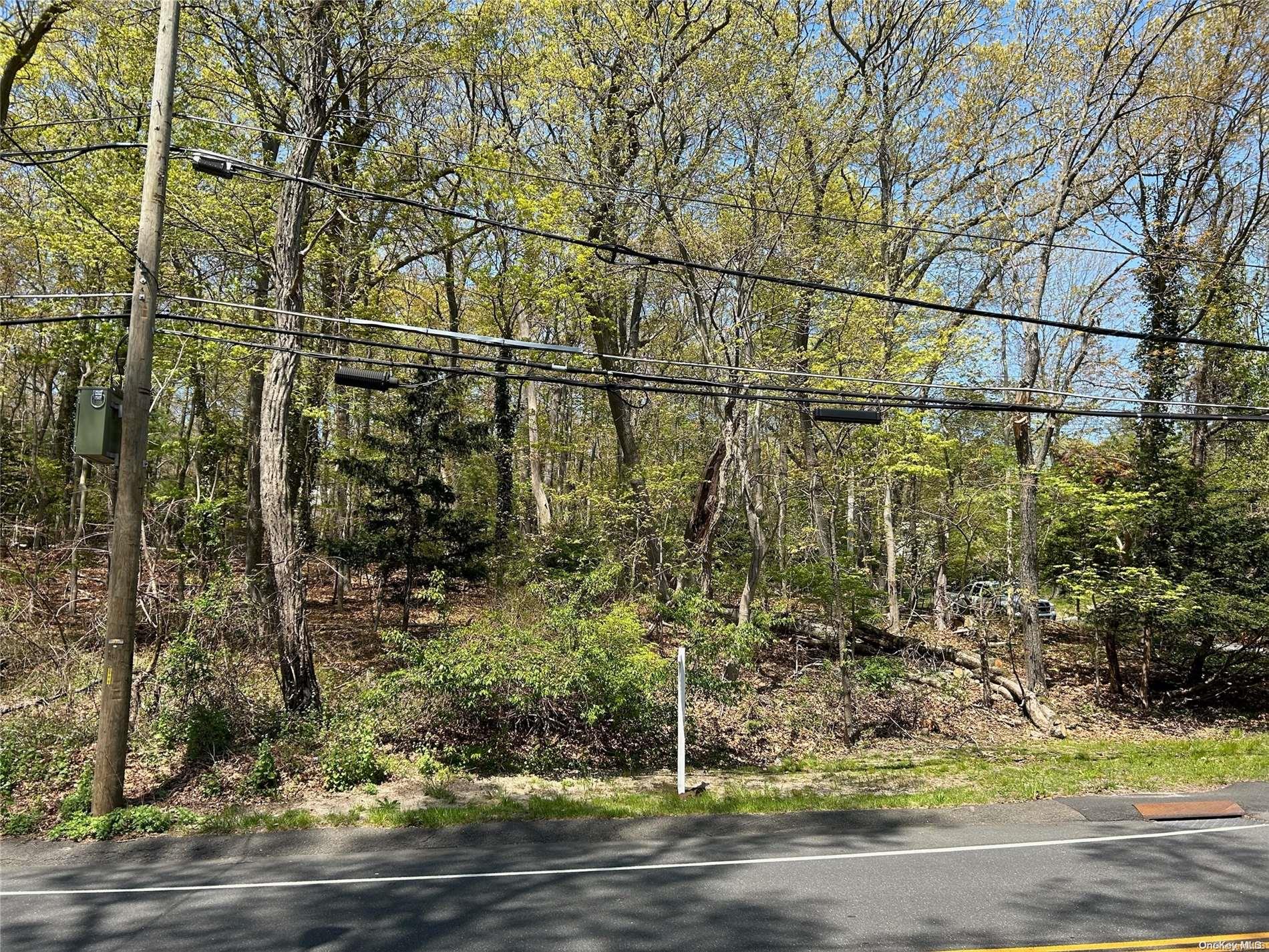 V/l North Country Road Stony Brook, NY 11790 - Photo 3 of 4 a backyard of a house