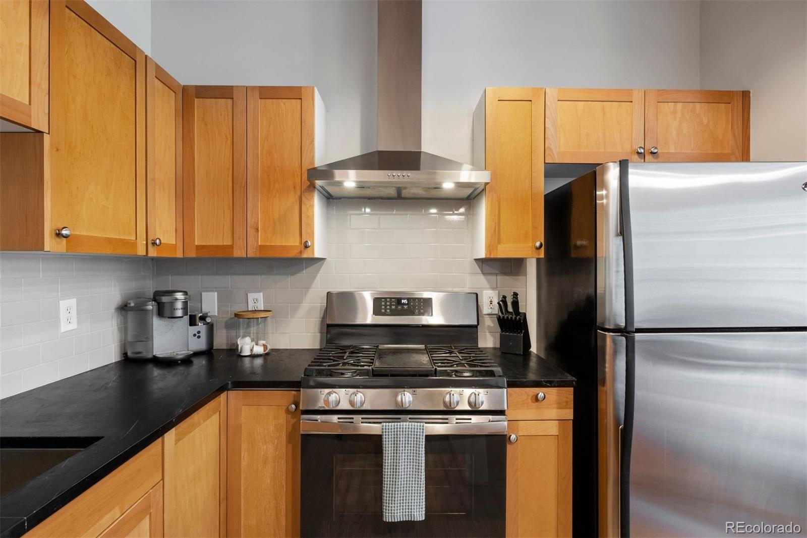 2960 Inca Street, Unit 219 Denver, CO 80202 - Photo 8 of 27 Gallery Image 8