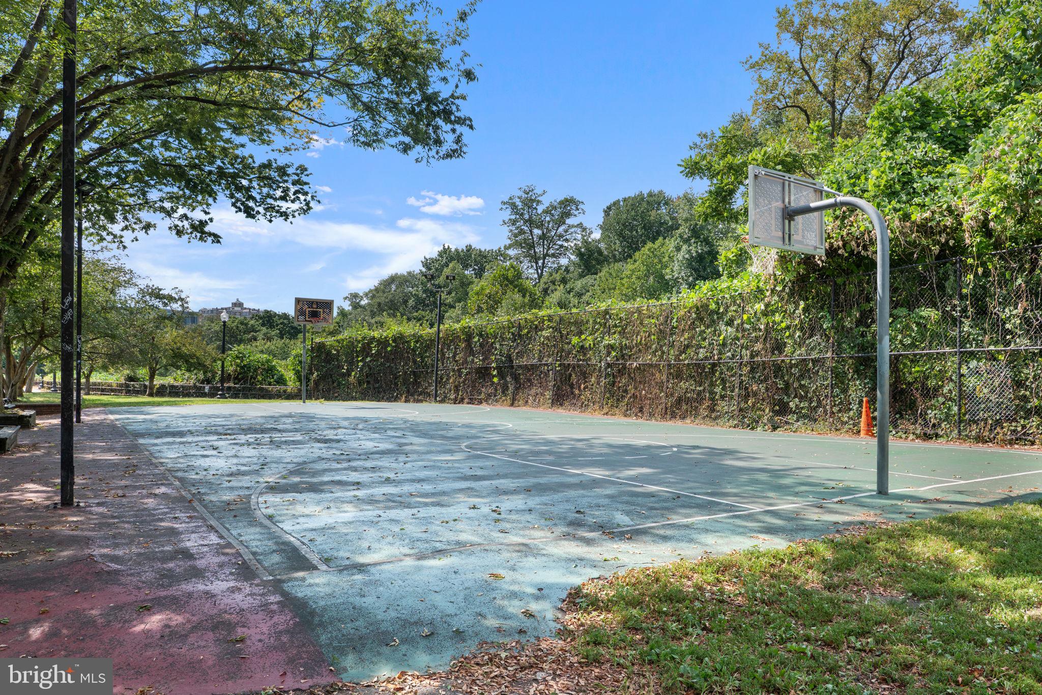 2630 Adams Mill Road Northwest, Unit T06 Washington, DC 20009 - Photo 20 of 22 Gallery Image 20