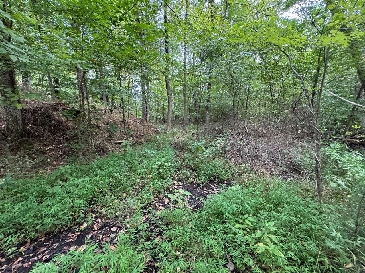 1250 Ashby Road Centertown, KY 42328 - Photo 16 of 25 Gallery Image 16