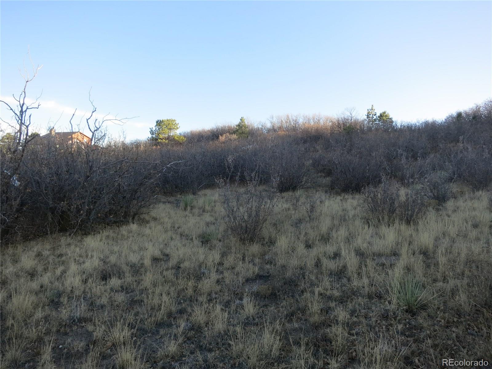 38 Doolittle Road Monument, CO 80132 - Photo 7 of 9