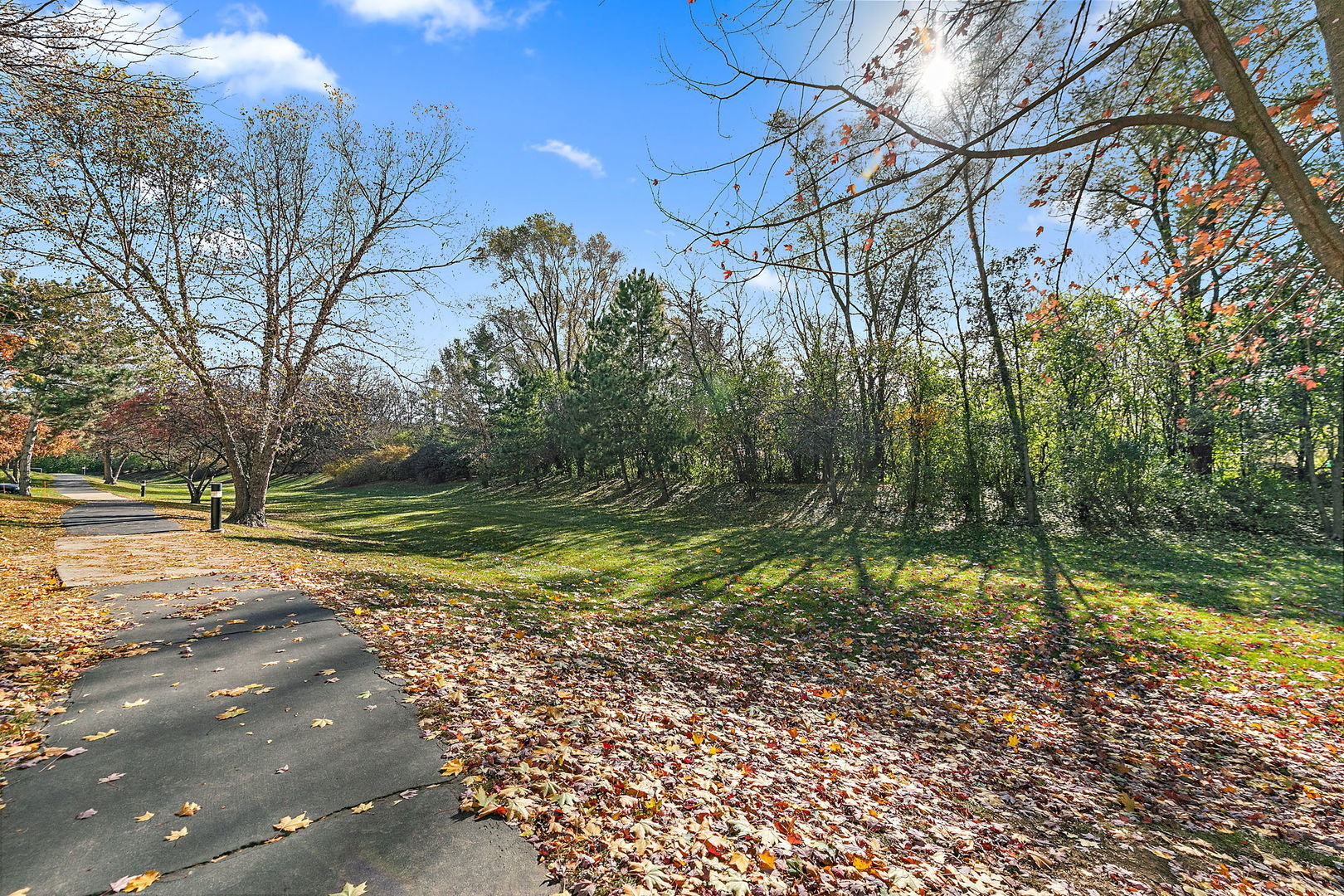 614 Littleton Trail Elgin, IL 60120 - Photo 29 of 29 a view of backyard with green space