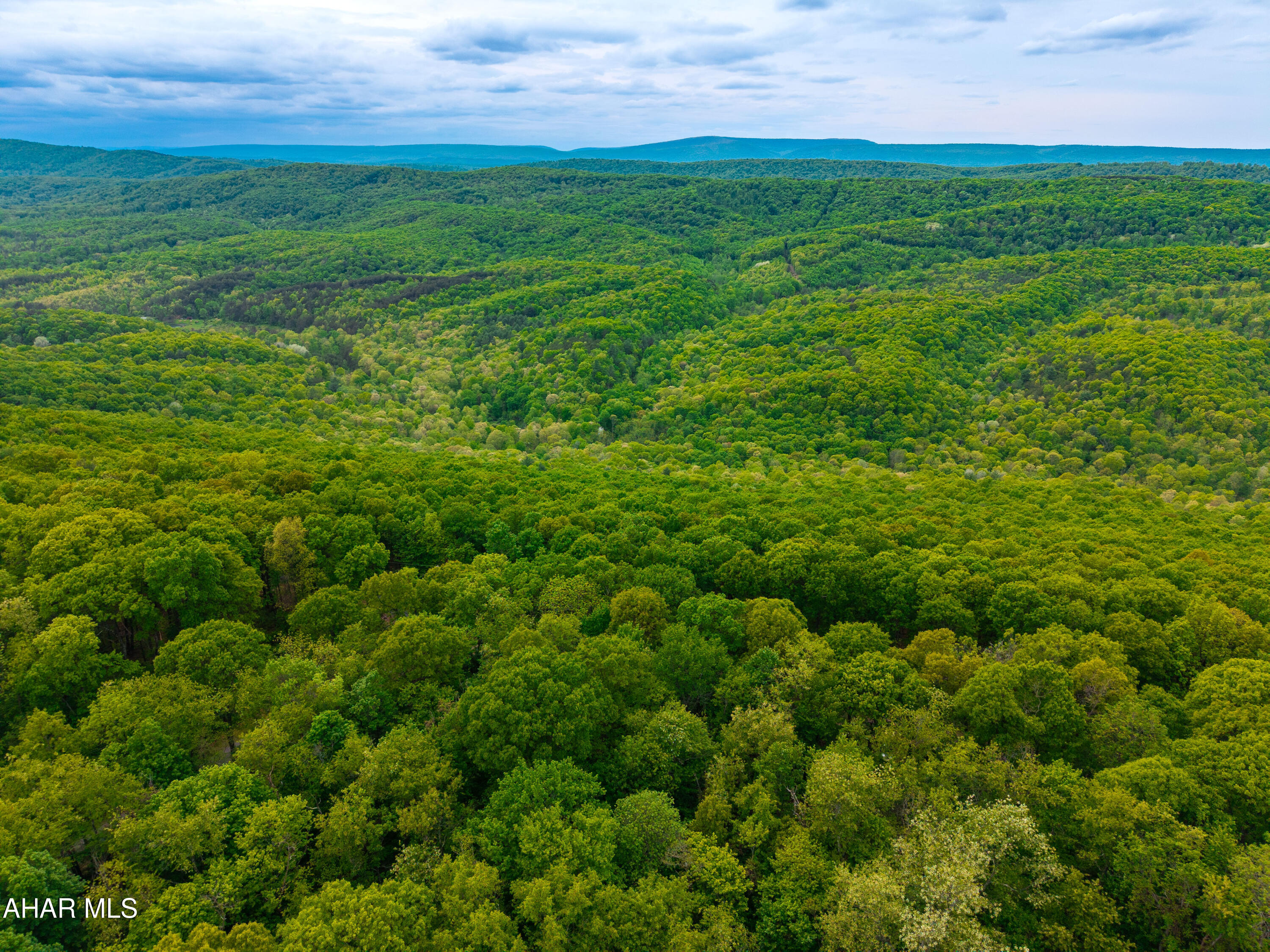 358 Cabin Ridge Lane Clearville, PA 15535 - Photo 11 of 13 a view of a field of grass and trees