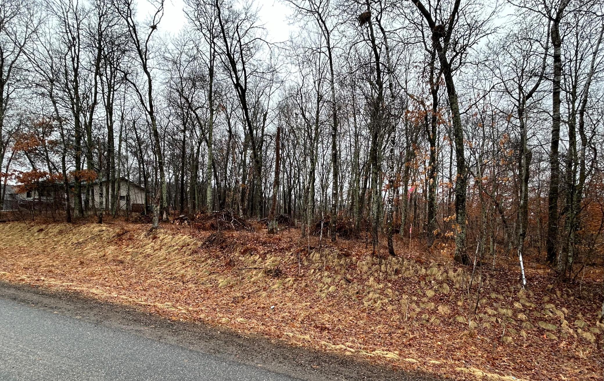 Tbd Hillside Pass Breezy Point, MN 56472 - Photo 2 of 4