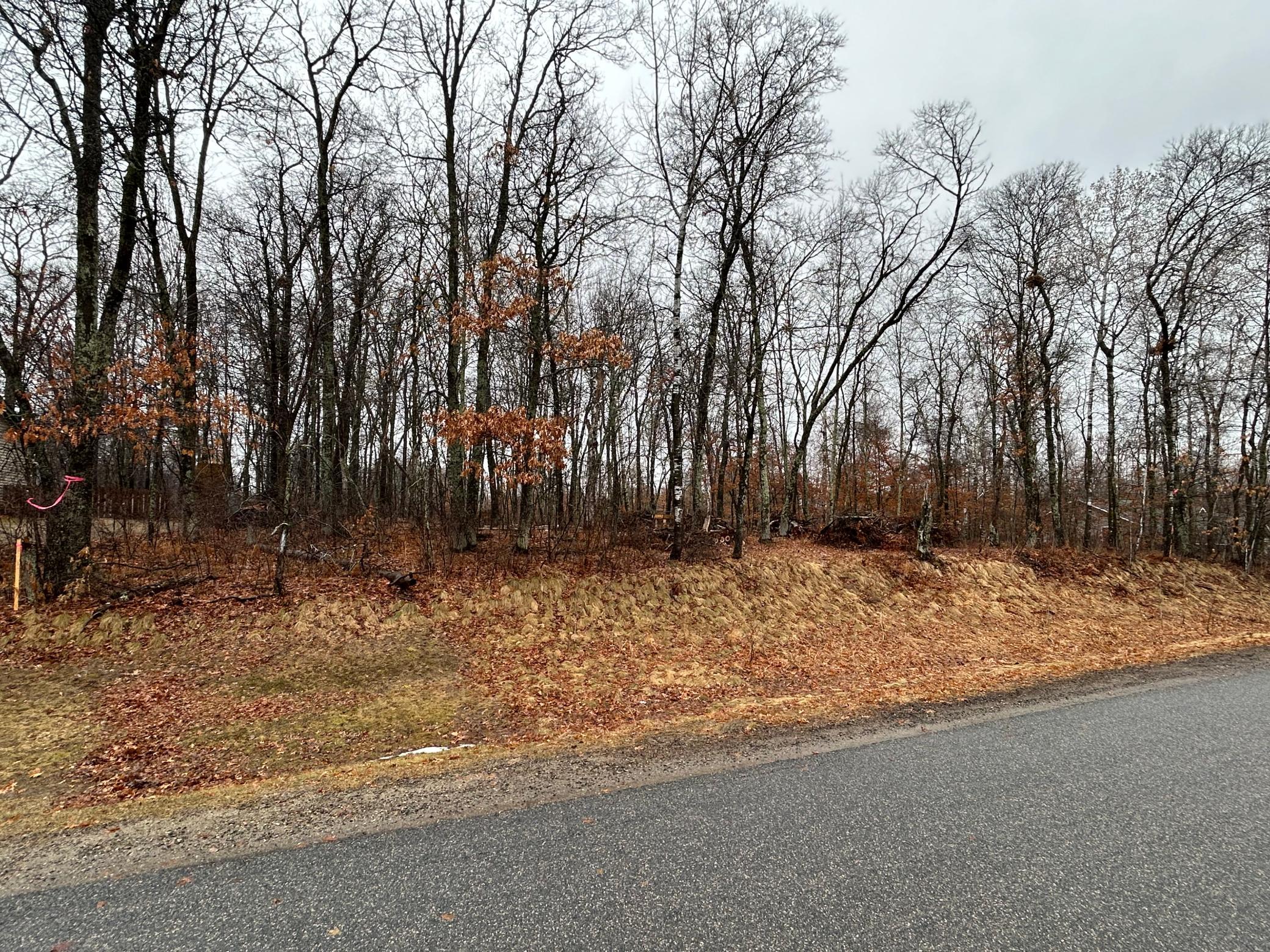 Tbd Hillside Pass Breezy Point, MN 56472 - Photo 4 of 4