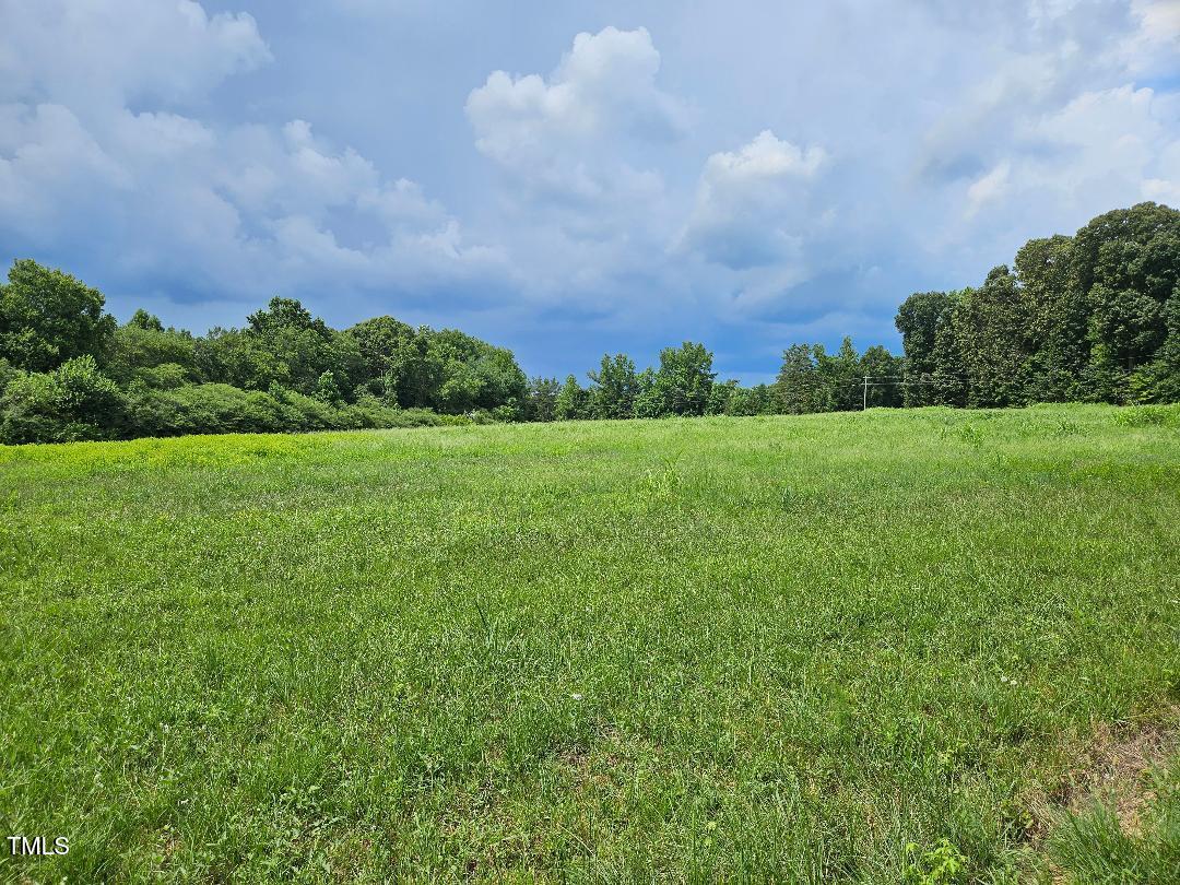 844 East Chrisco Road Seagrove, NC 27341 - Photo 1 of 10 chriscoe.field