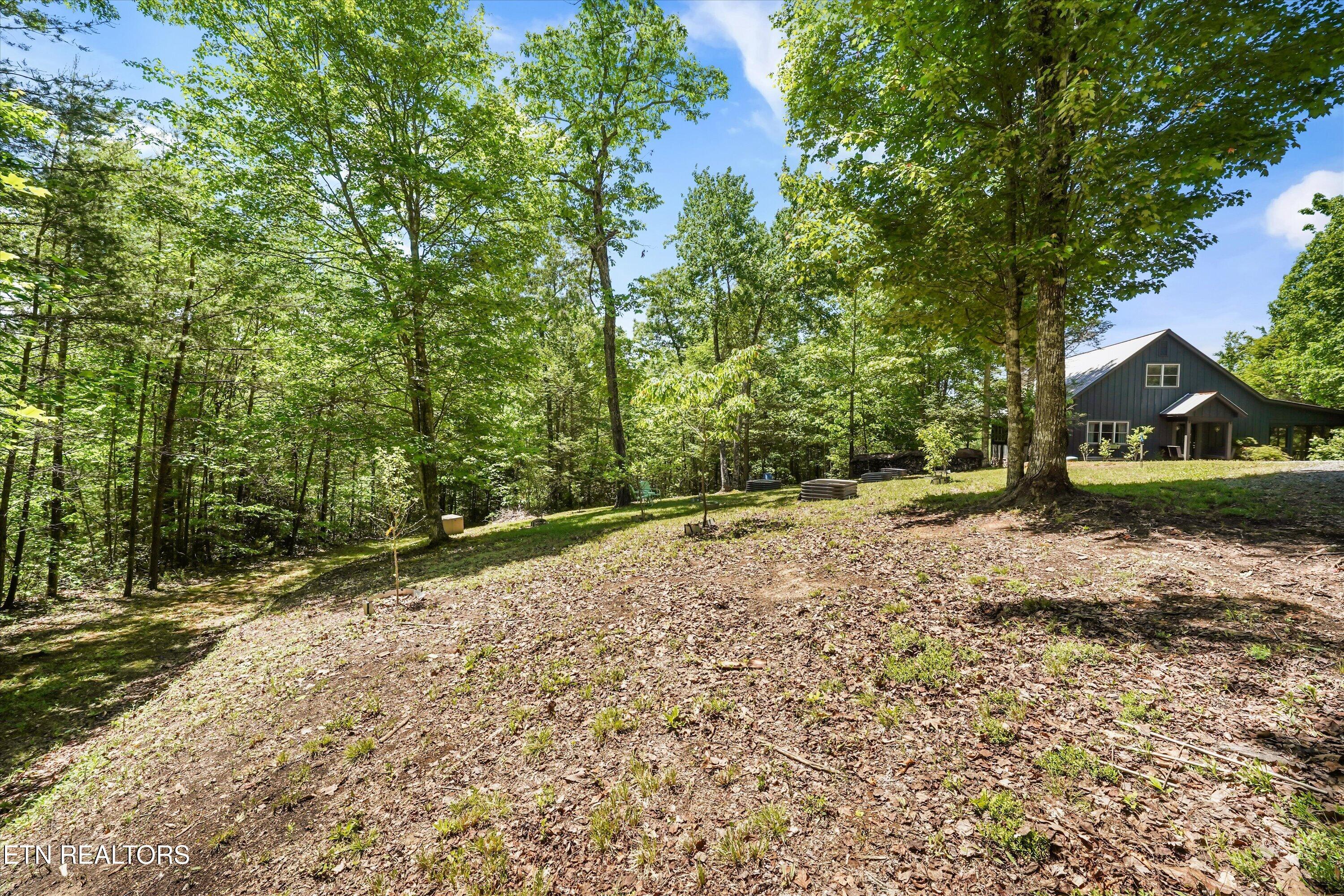 2122 Dove Ridge Lane Walland, TN 37886 - Photo 14 of 60 49-2122 Dove Ridge Ln05
