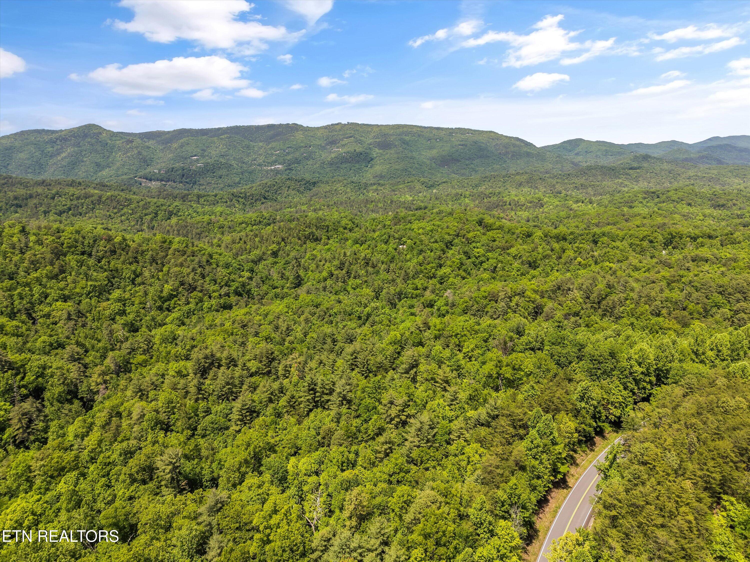 2122 Dove Ridge Lane Walland, TN 37886 - Photo 4 of 60 59-2122 Dove Ridge Ln58