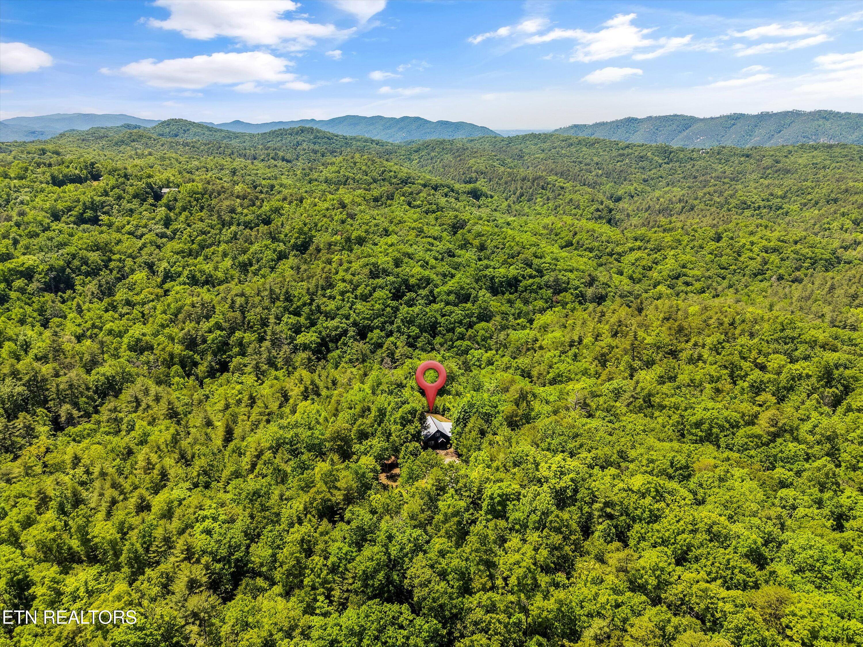 2122 Dove Ridge Lane Walland, TN 37886 - Photo 8 of 60 55-2122 Dove Ridge Ln50
