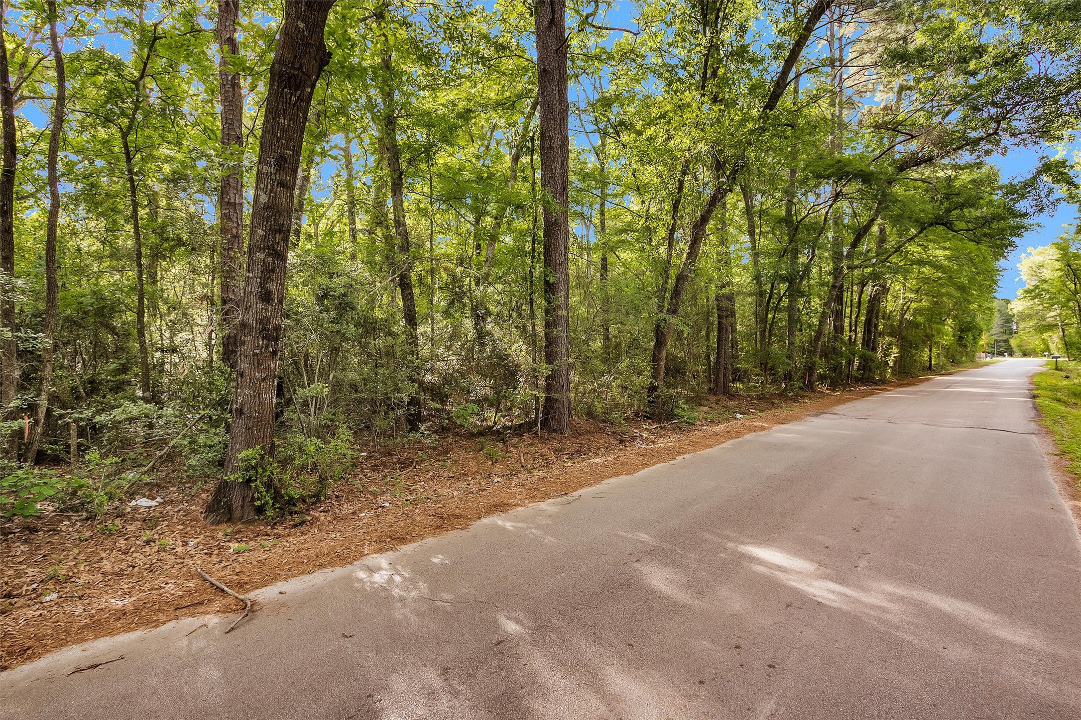 15686 Ben Wiggins Road Conroe, TX 77303 - Photo 2 of 7