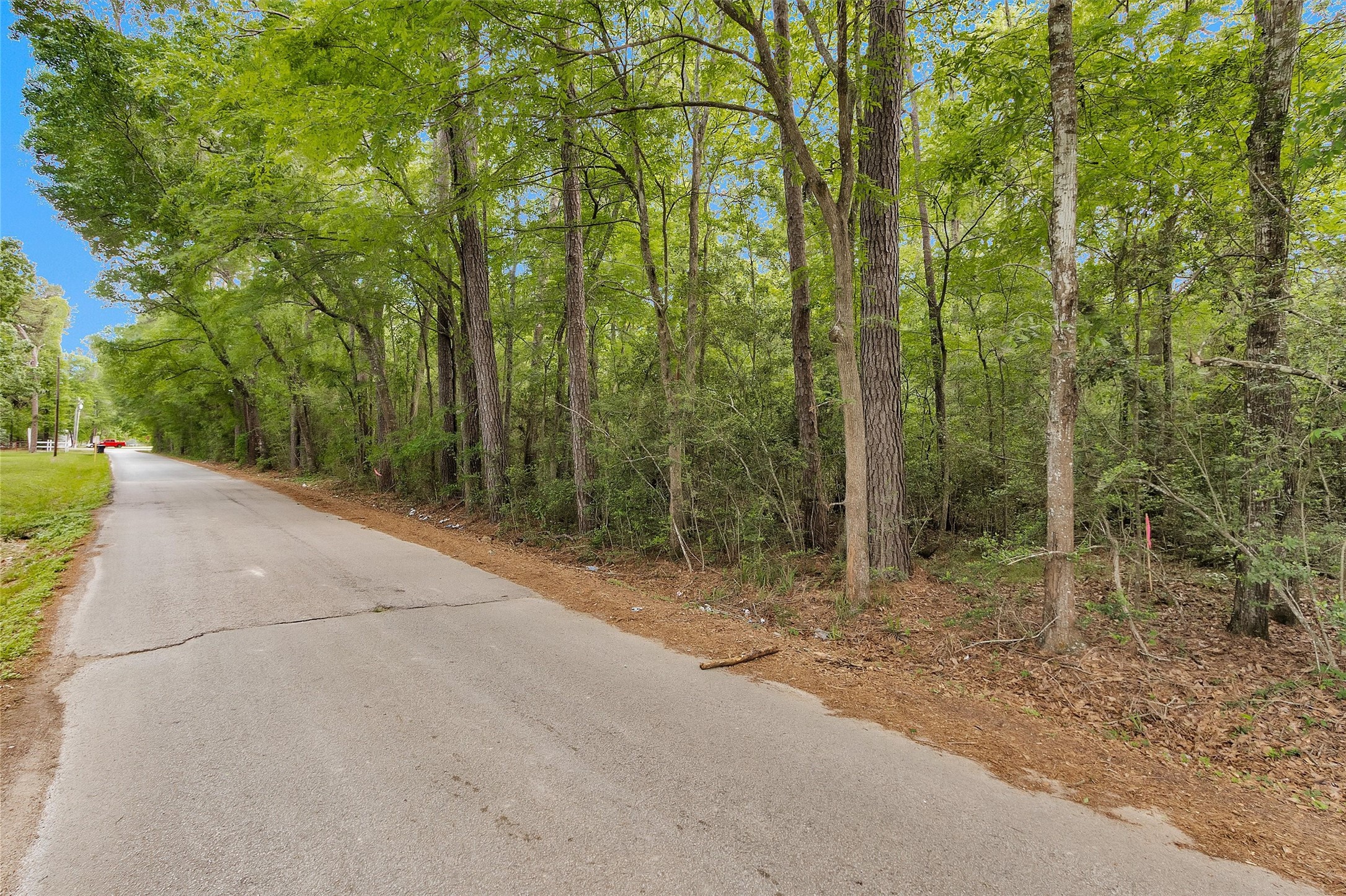 15686 Ben Wiggins Road Conroe, TX 77303 - Photo 3 of 7