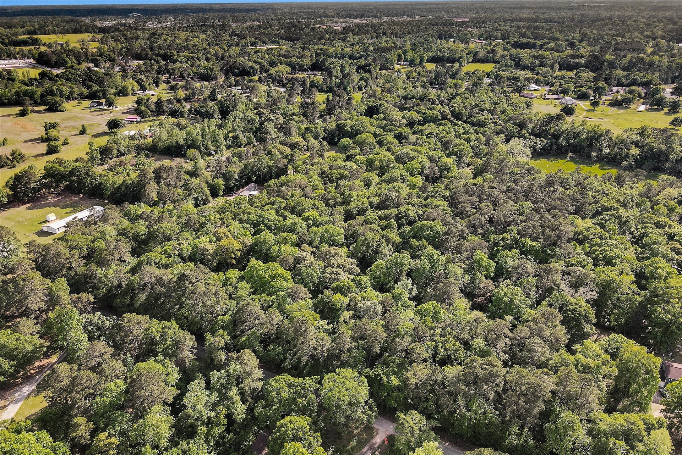 15686 Ben Wiggins Road Conroe, TX 77303 - Photo 7 of 7