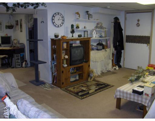 208 Jones Road Cabot, PA 16023 - Photo 8 of 10 Den/Family/Great Room.