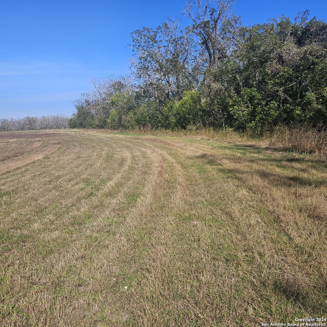 Tbd Fm 640 Tract 2 Wharton, TX 77488 - Photo 5 of 15 a view of a yard with an trees