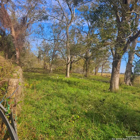 a huge green field with lots of bushes