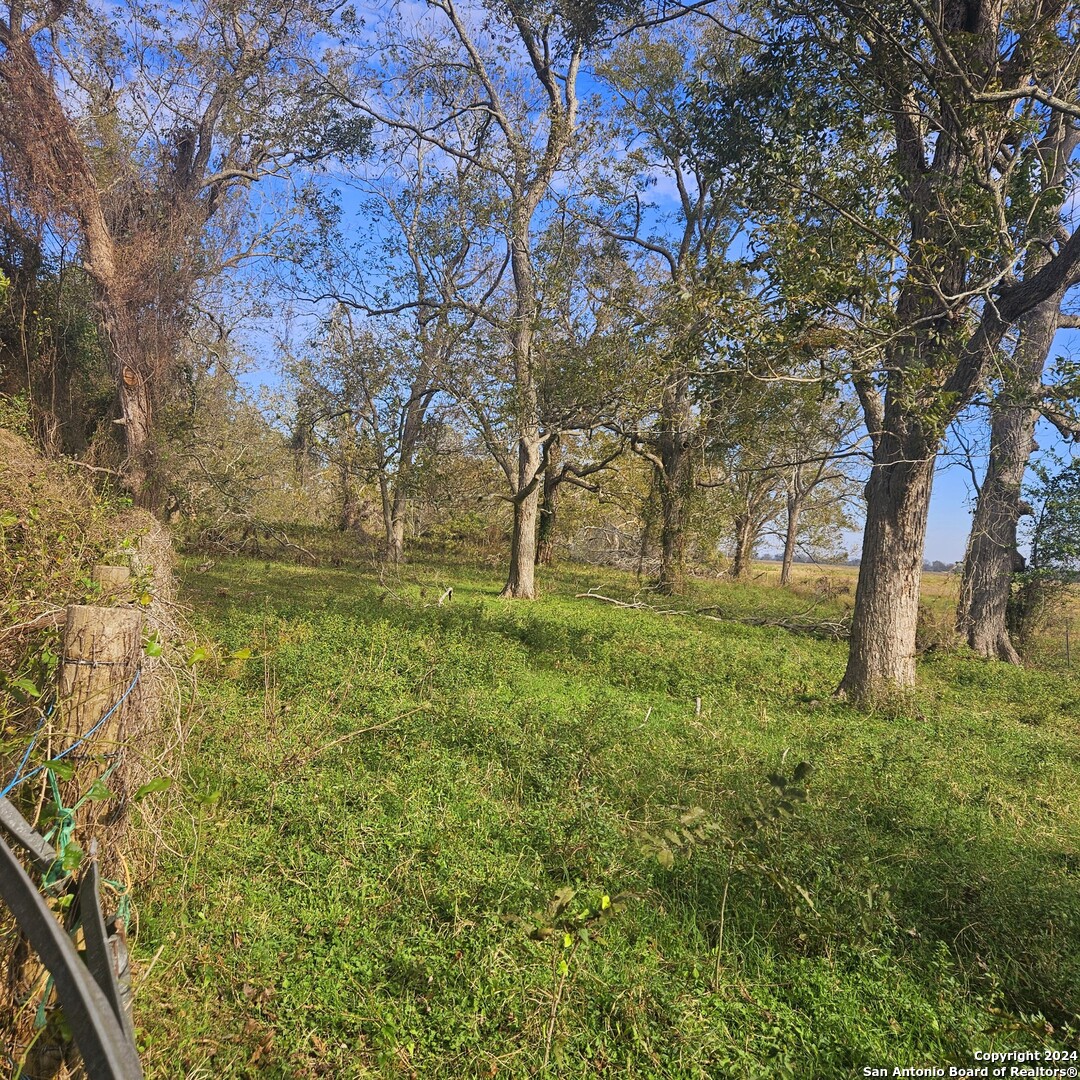 Tbd Fm 640 Tract 2 Wharton, TX 77488 - Photo 7 of 15 a huge green field with lots of bushes