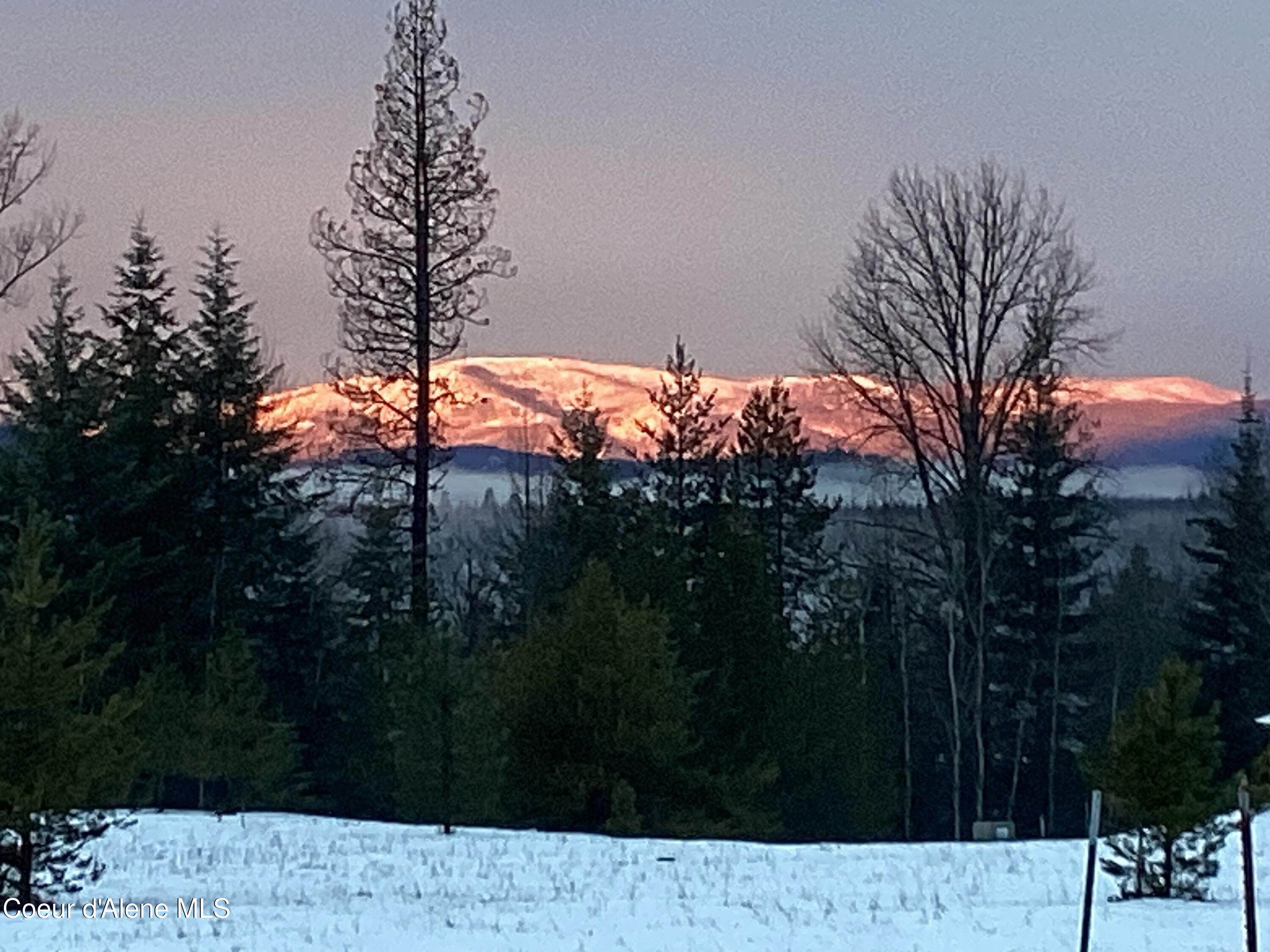1367 Mud Gulch Road Priest River, ID 83856 - Photo 2 of 11 Mountain views
