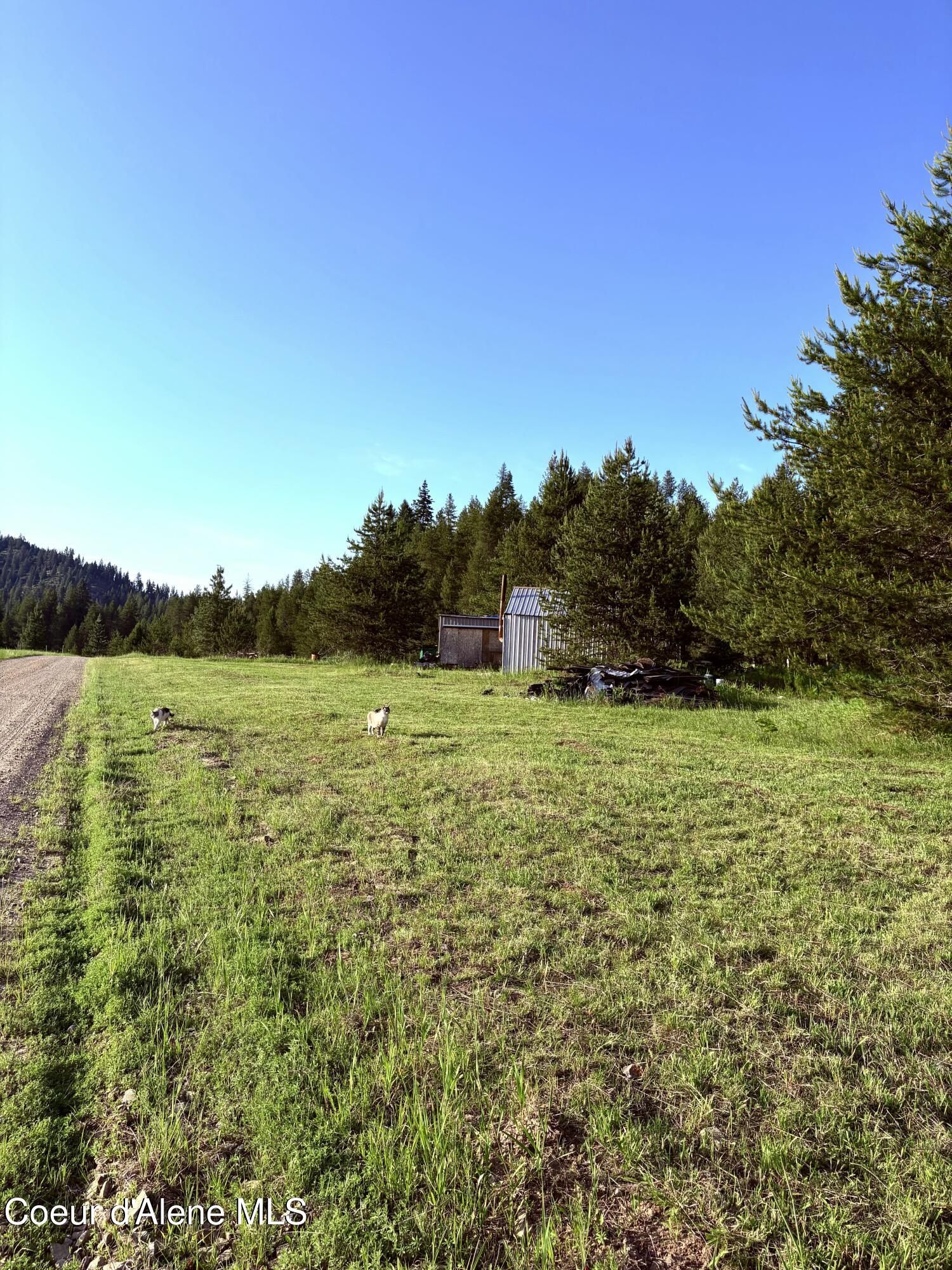 1367 Mud Gulch Road Priest River, ID 83856 - Photo 5 of 11 FullSizeRender