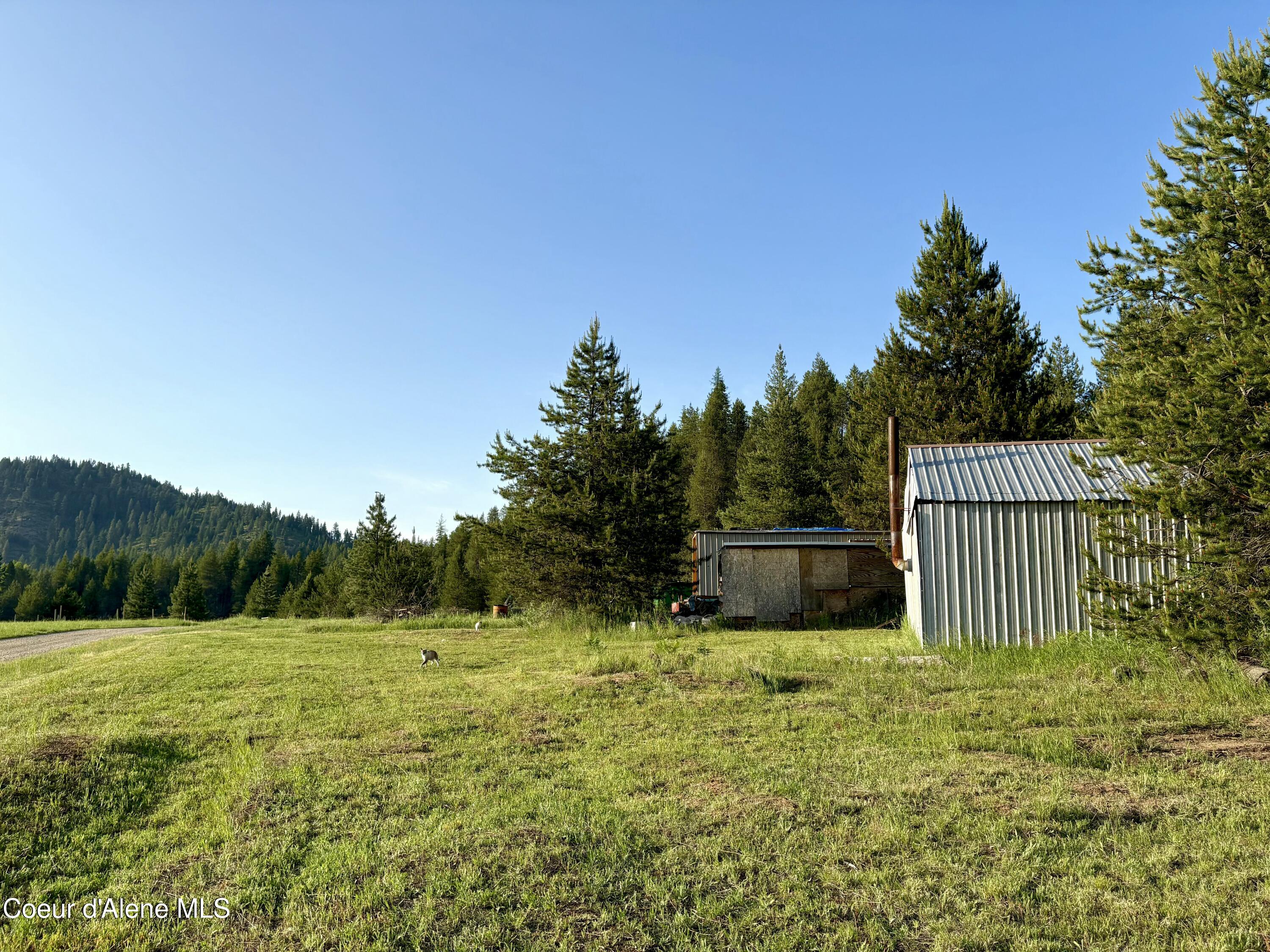 1367 Mud Gulch Road Priest River, ID 83856 - Photo 7 of 11 FullSizeRender