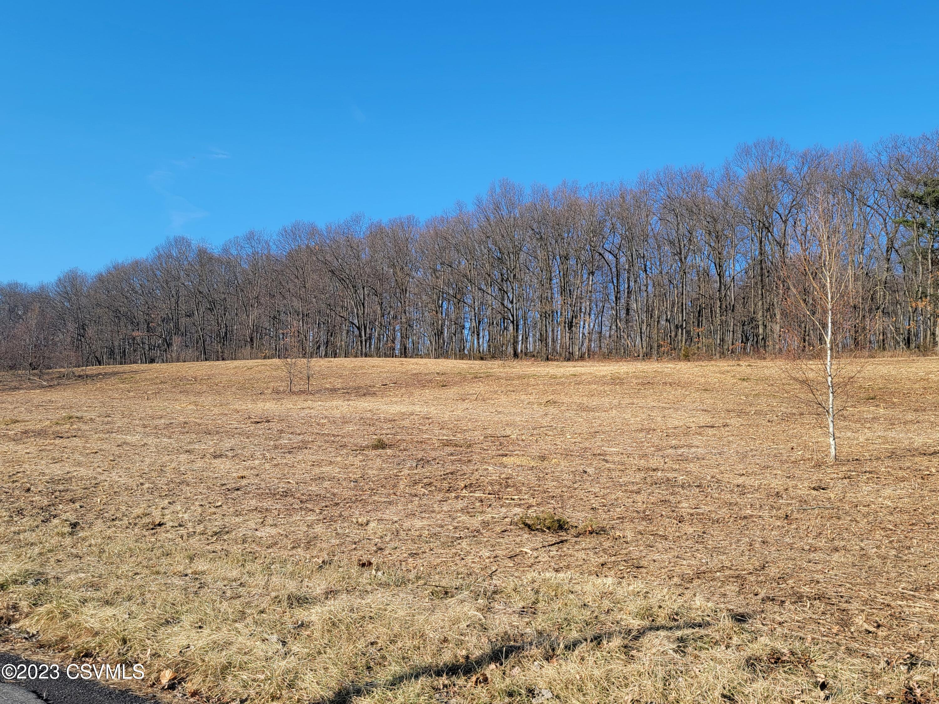 Lot #1 Foye Road Sunbury, PA 17801 - Photo 7 of 7 Gallery Image 7