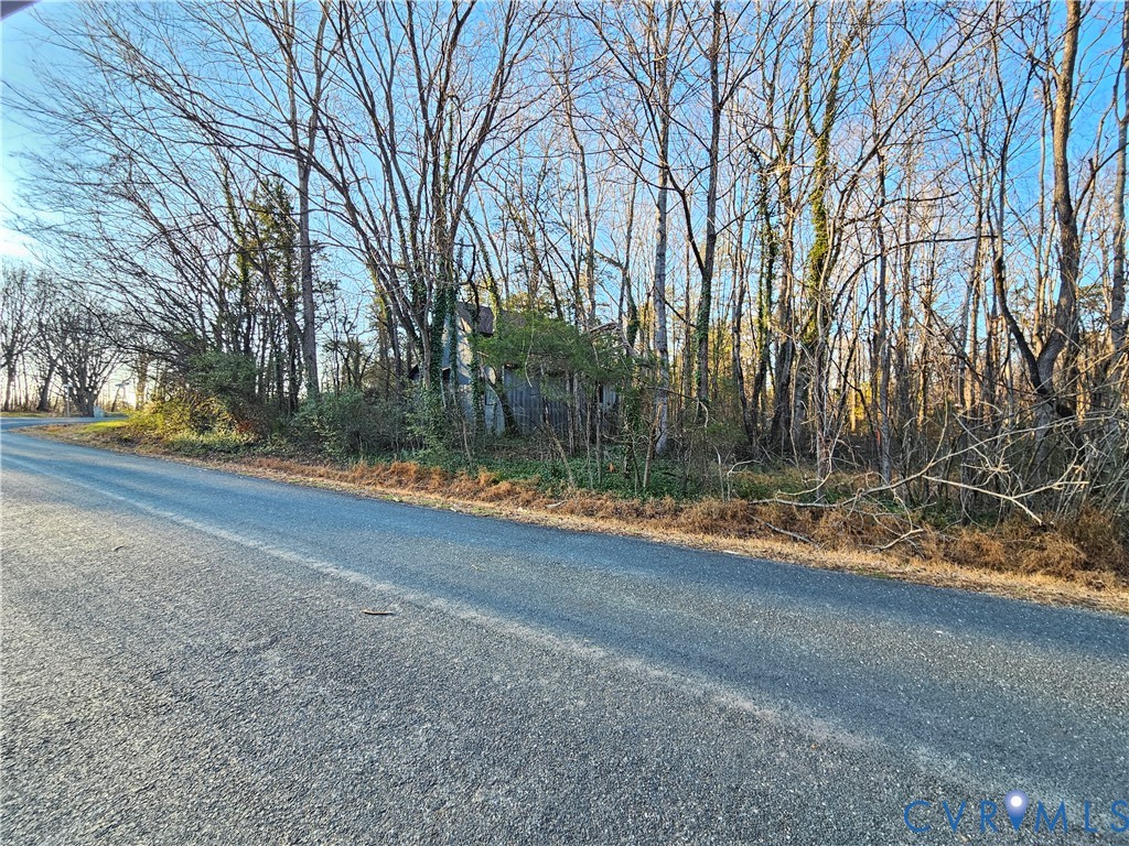 0 Physic Spring Road Dillwyn, VA 23936 - Photo 12 of 17 a view of a yard with large trees