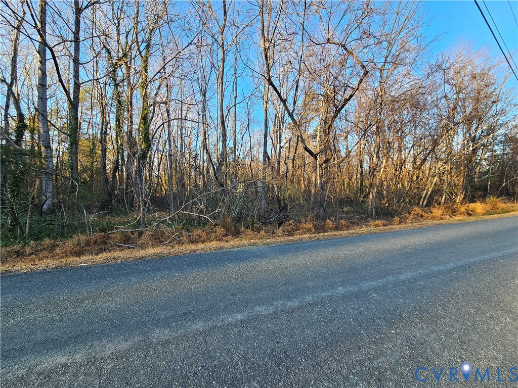 0 Physic Spring Road Dillwyn, VA 23936 - Photo 13 of 17 a view of dirt yard with a large tree