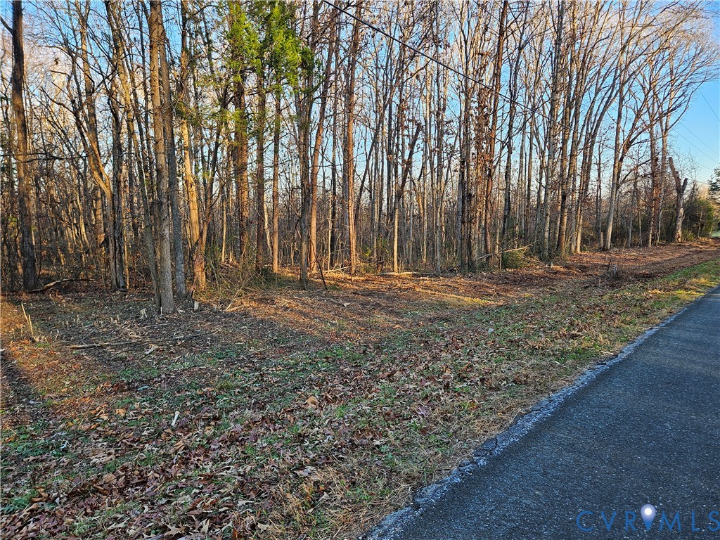 0 Physic Spring Road Dillwyn, VA 23936 - Photo 2 of 17 a backyard of a house with lots of green space