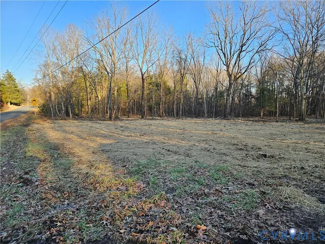 a view of a field with trees in the background