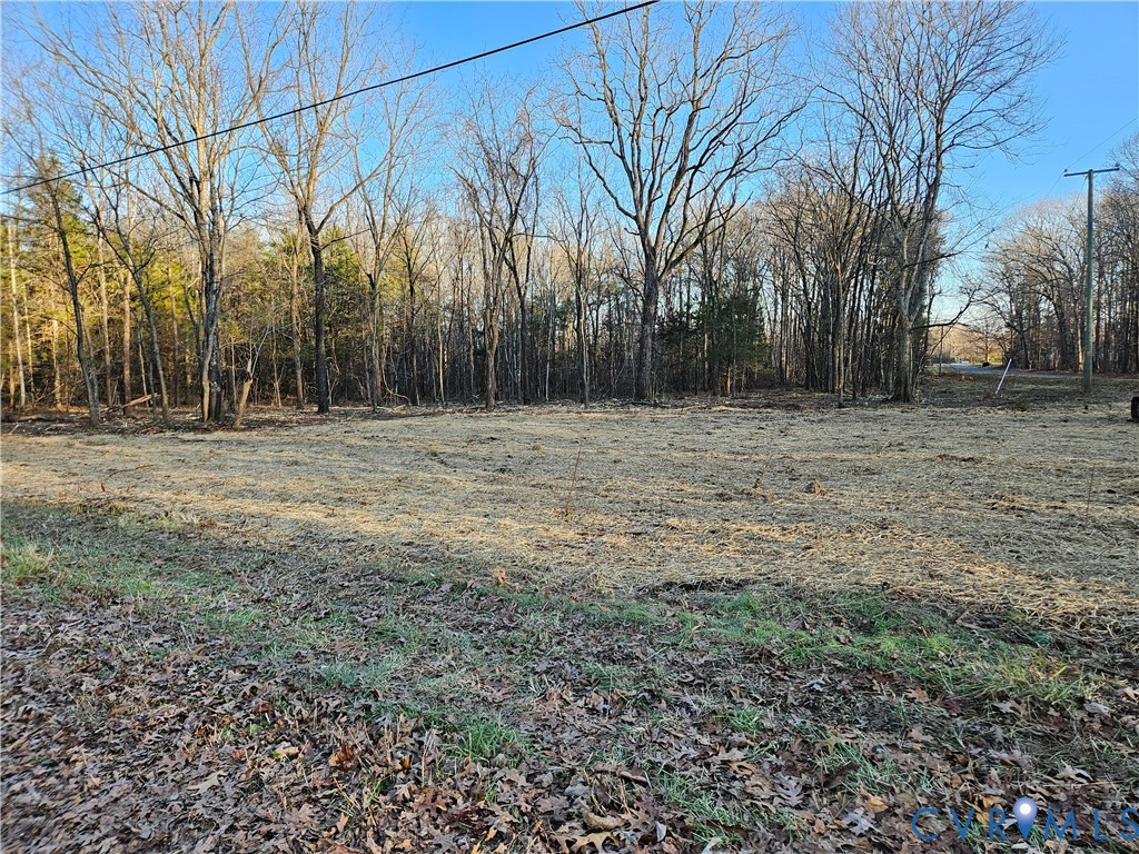 0 Physic Spring Road Dillwyn, VA 23936 - Photo 6 of 17 a view of a field with trees in the background