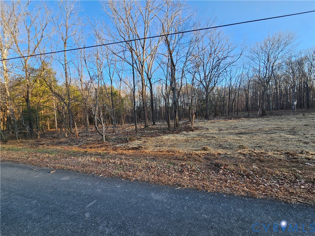 0 Physic Spring Road Dillwyn, VA 23936 - Photo 8 of 17 a backyard of a house with lots of green space
