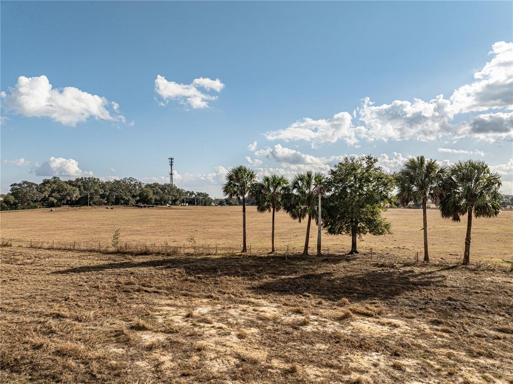 101 County Road Oxford, FL 34484 - Photo 3 of 8