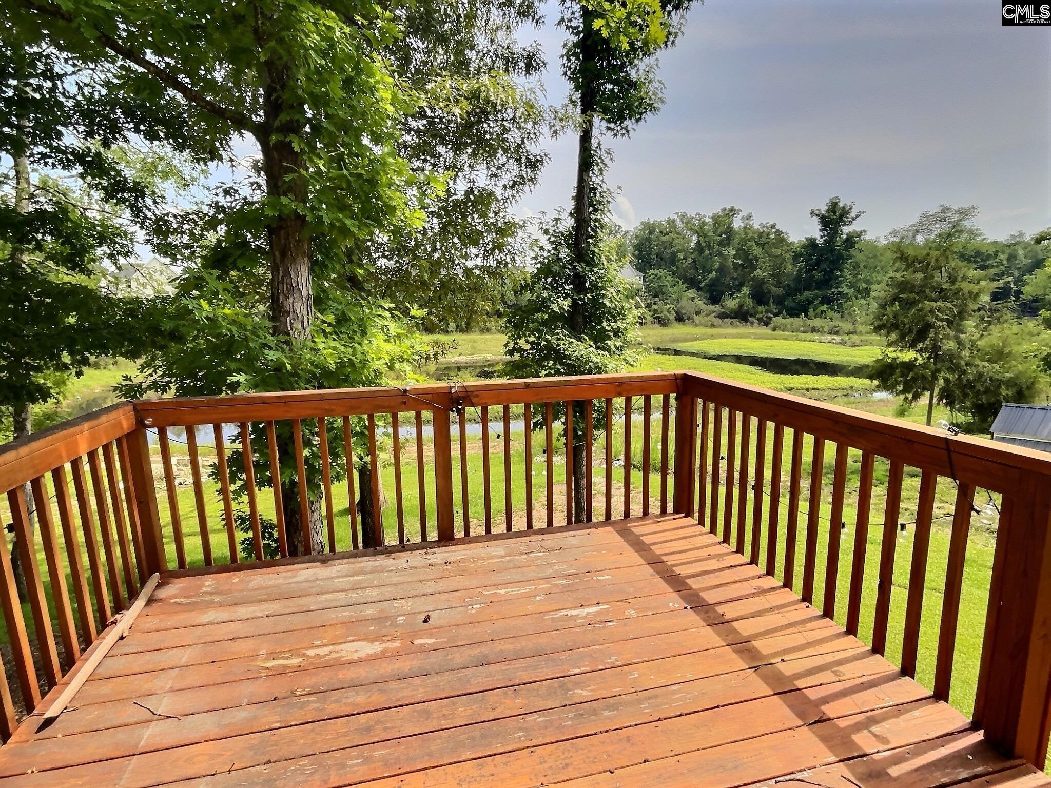343 Limestone Road Chapin, SC 29036 - Photo 25 of 31