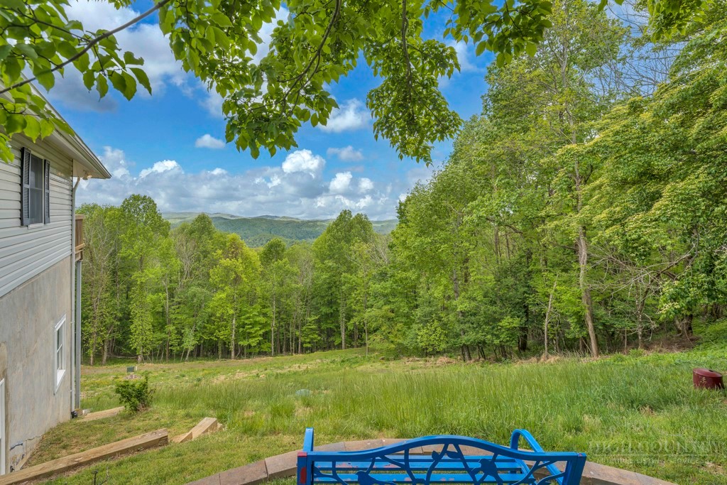 784 Alpine Drive Seven Devils, NC 28604 - Photo 46 of 50