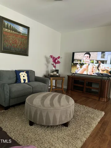 a living room with furniture and a rug