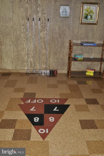 1660 Daisy Road Woodbine, MD 21797 - Photo 22 of 29 Basement