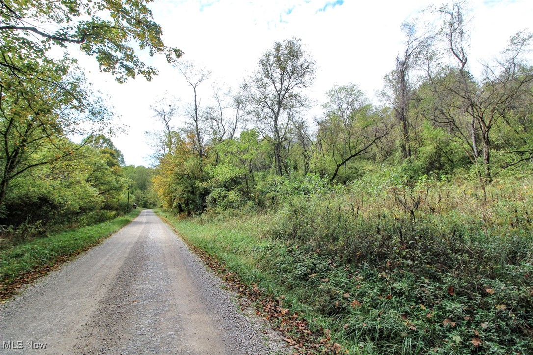 Lot 3 Brooks Road Reno, OH 45773 - Photo 3 of 17 View of dirt / gravel road featuring a forest view