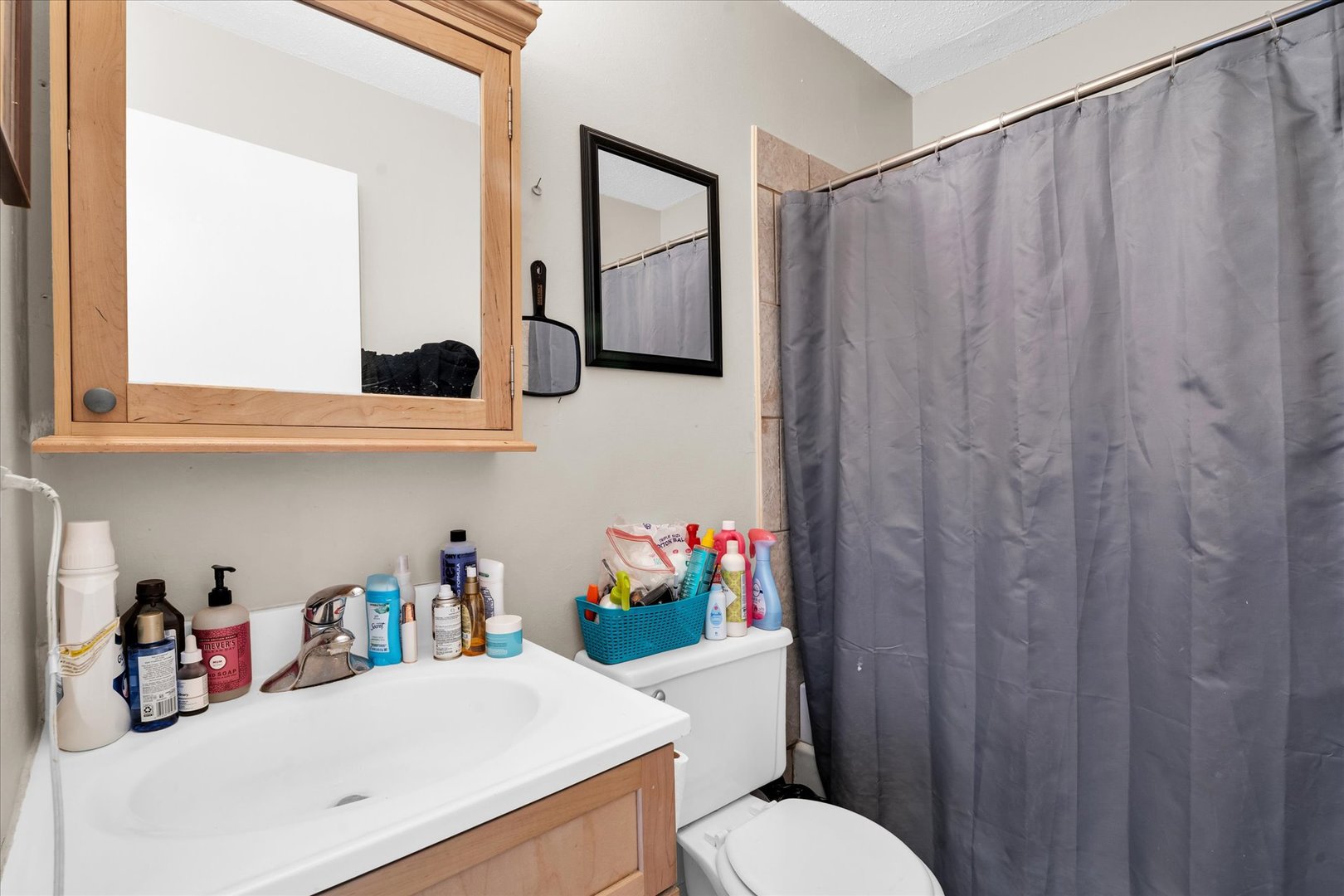 309 West Springfield Avenue Urbana, IL 61801 - Photo 16 of 35 a bathroom with a sink mirror and toilet