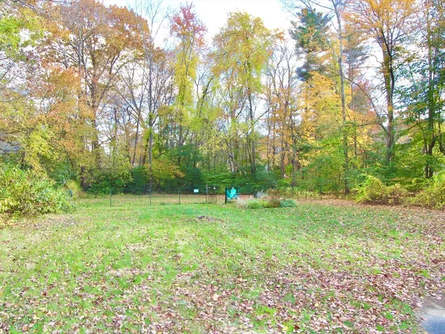 a view of a lush green space