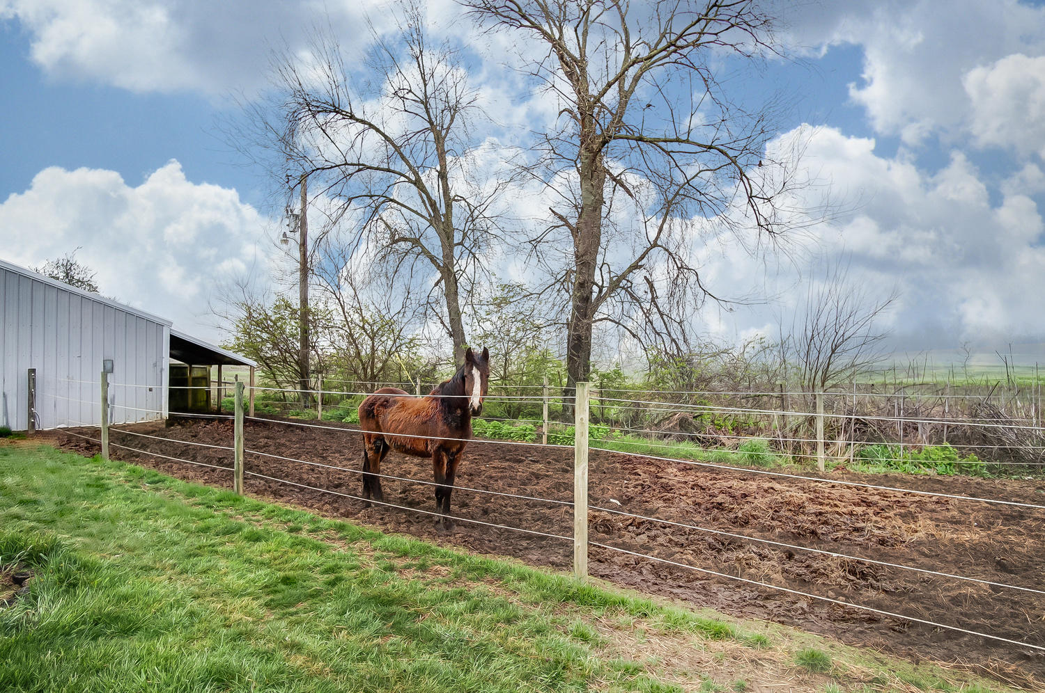 3773 Sink Hole Road West Liberty, OH 43357 - Photo 53 of 57
