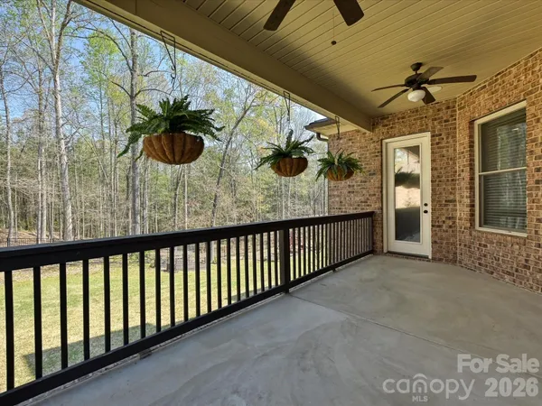 a view of a park with large trees