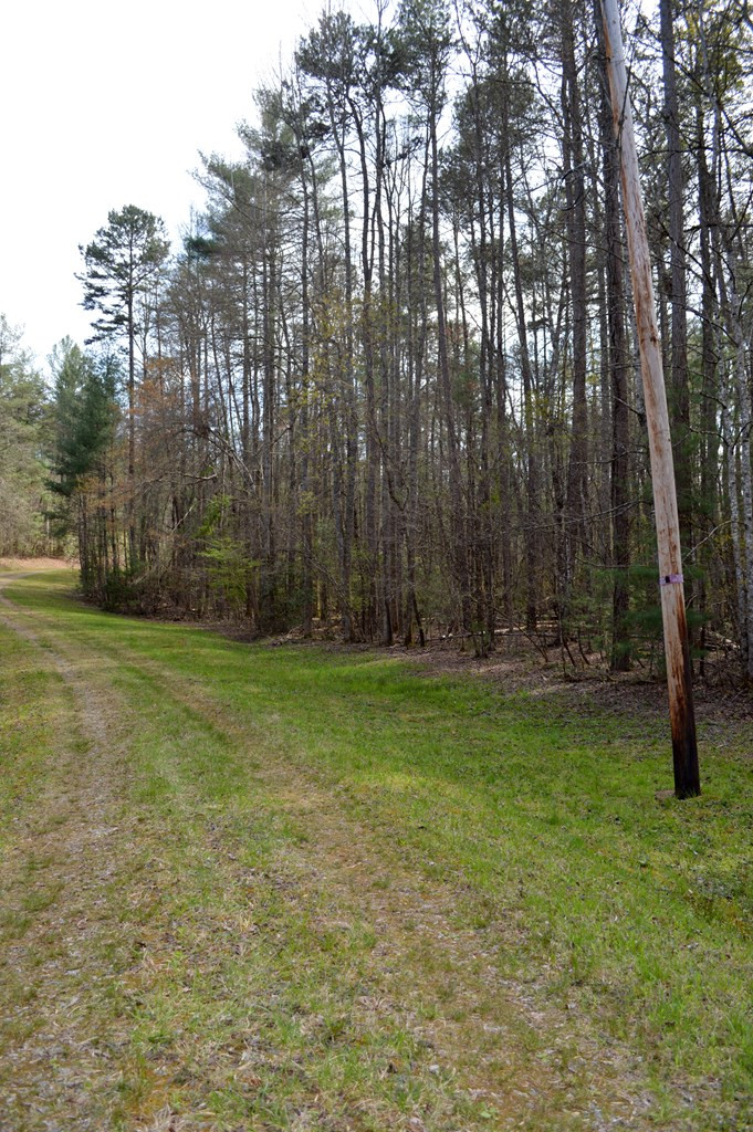 Lot #1 Hedden Road Murphy, NC 28906 - Photo 5 of 7