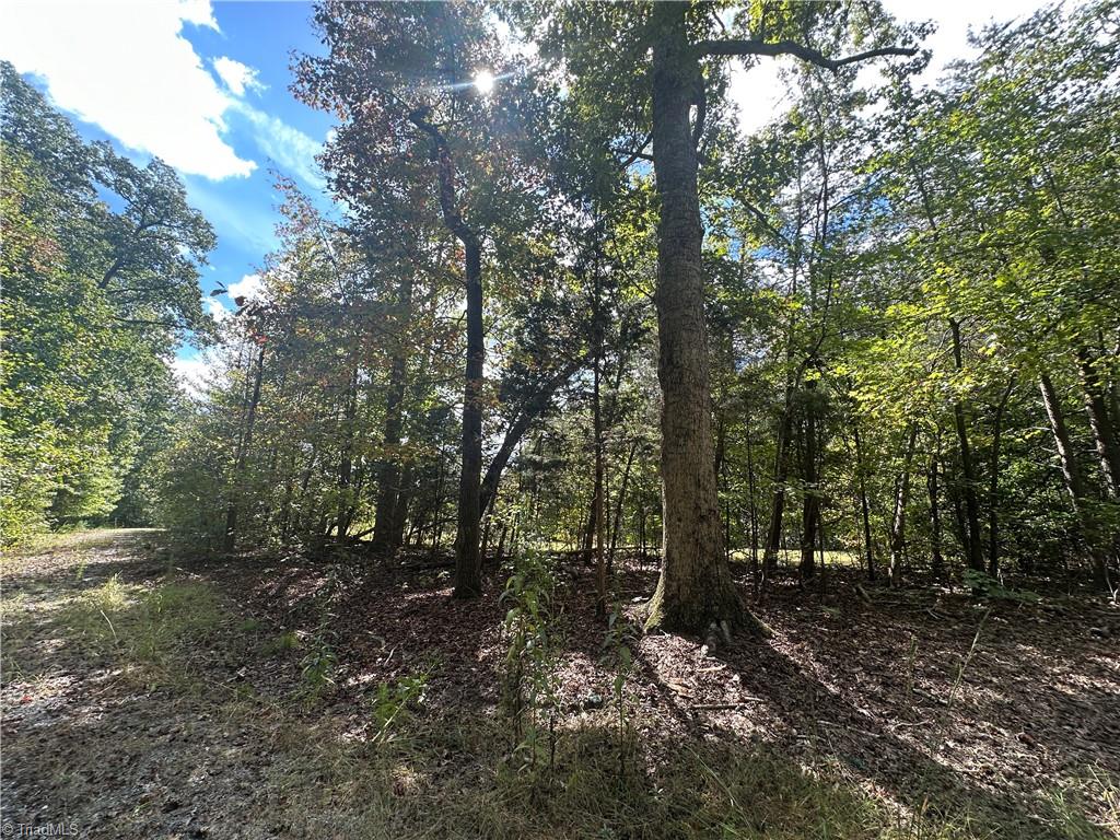 8410 Linville Road Oak Ridge, NC 27310 - Photo 11 of 37