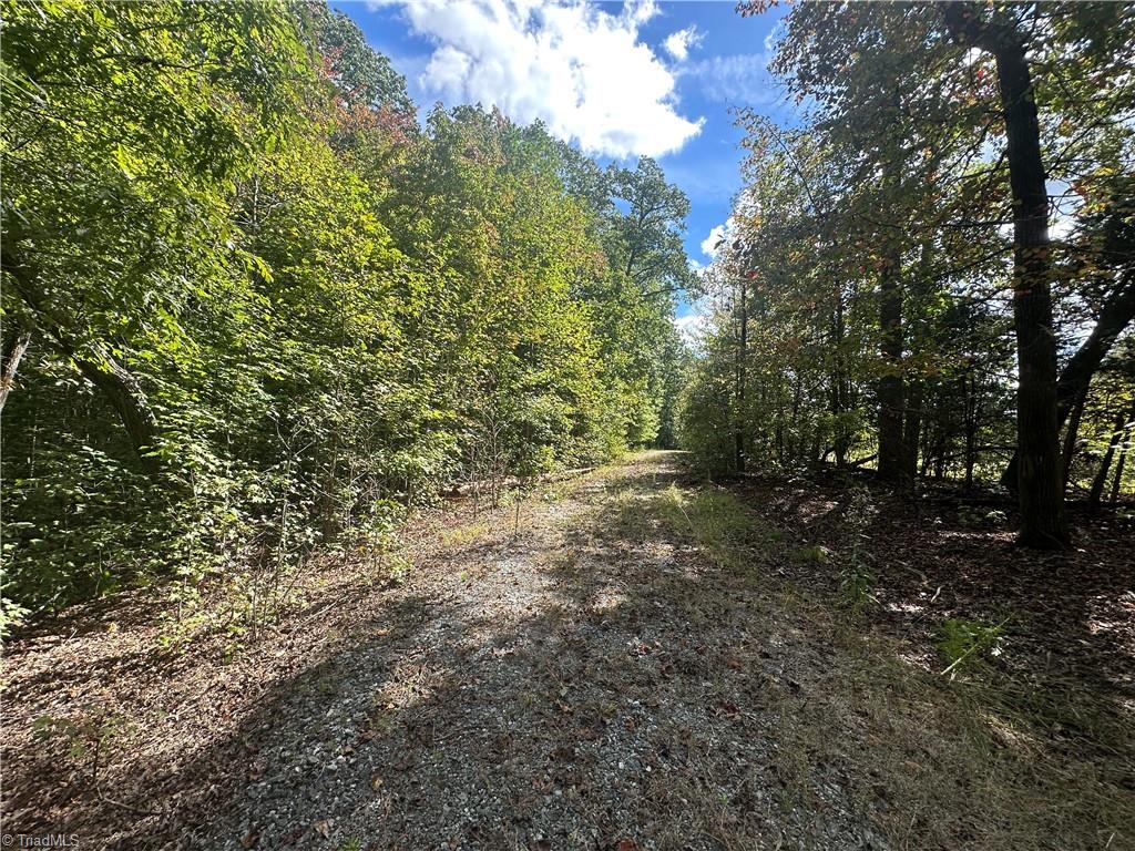 8410 Linville Road Oak Ridge, NC 27310 - Photo 12 of 37